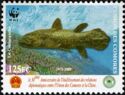 West Indian Ocean Coelacanth (Latimeria chalumnae)