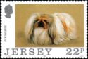 Pekinese (Canis lupus familiaris)