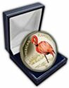 1 Dollar (American Flamingo)
