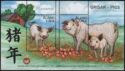 Pigs (Sus scrofa domesticus)