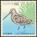 Latham's Snipe (Gallinago hardwickii)