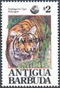 Tiger (Panthera tigris) - Overprinted