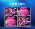 Coral Reefs