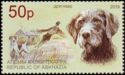 German Wirehaired Pointer