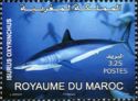 Shortfin Mako Shark (Isurus oxyrinchus)