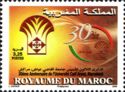 30th Anniversary of the University Code Ayyad-Marrakech