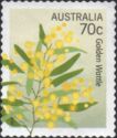 Golden Wattle (Acacia pycnantha)