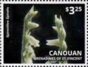 Spiranthes spiralis