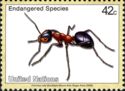 Southern Wood Ant (Formica rufa) 