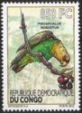 Brown-necked Parrot (Poicephalus robustus)