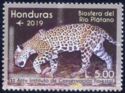 Jaguar (Panthera onca)