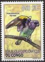 Meyer's parrot (Poicephalus meyeri)