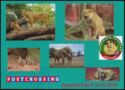 POSTCROSSING | Zoopark Erfurt 14.07.2018