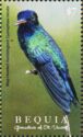 Blue-headed Hummingbird (Cyanophaia bicolor)