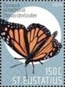 Monarch (Danaus plexippus)
