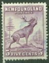 Caribou (Rangifer tarandus terraenovae)