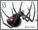 Southern Black Widow (Latrodectus mactans)