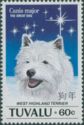 West Highland Terrier (Canis lupus familiaris)