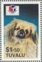 Pekingese