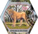 Panthera leo leo