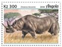 Black Rhinoceros (Diceros bicornis)