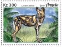 African Wild Dog (Lycaon pictus)
