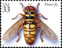 Yellowjacket Hover Fly (Milesia virginiensis)