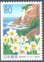 Echizen Coast & Wild Narcissus