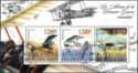 Airplanes of the First World War