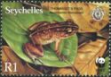 Thomasset's Frog (Nesomantis thomasseti)