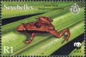 Seychelles Palm Frog (Sooglossus pipilodryas)