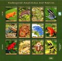 Amphibians and Reptiles