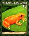 Golden Mantella (Mantella aurantiaca)