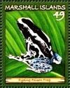Dyeing Poison Frog (Dendrobates tinctorius)