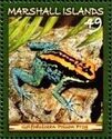 Golfodulcean Poison Frog (Phyllobates vittatus)