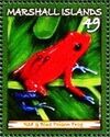 Red & Blue Poison Frog (Oophaga granulifera)