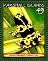 Yellow-banded Poison Frog (Dendrobates leucomelas)