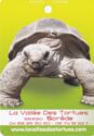 La Valée Des Tortues