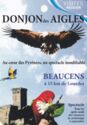 Donjon des Aigles