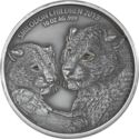 5,000 CFA Francs (Smilodon Children. 10 Oz)