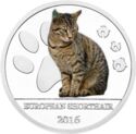 500 CFA Francs (European Shorthair Cat)