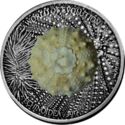 1,000 CFA Francs (World of Evolution - Echinoidea)