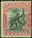 Bornean Orangutan (Pongo pygmaeus) overprinted