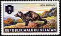Southern Palm Civet (Paradoxurus musanga)