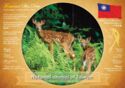National Animal of Taiwan