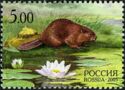 Eurasian Beaver (Castor fiber)