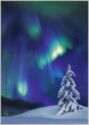 Winter Lights - snowy tree under aurora borealis light