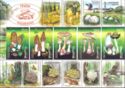 Stamps of Belarus on " Mushrooms"