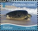 Green Turtle (2019 Imprint)