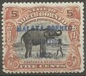 Asian Elephant (Elephas maximus) - overprinted